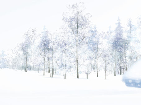 How to Beat Cabin Fever This Winter