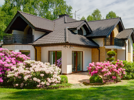 7 Tips for Eco-Friendly Landscaping