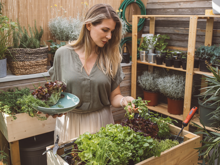 What to Plant in Your Edible Garden